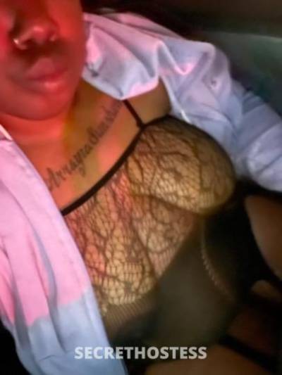 ThickemSStar 25Yrs Old Escort San Diego CA Image - 2