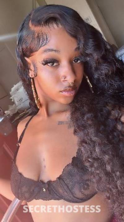 Venus 21Yrs Old Escort Tampa FL Image - 1