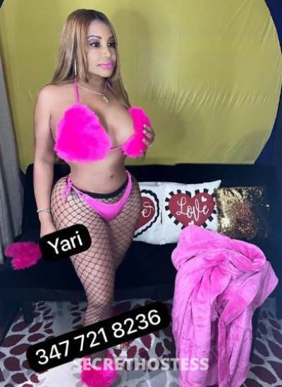 Yaris 27Yrs Old Escort Northern Virginia DC Image - 2