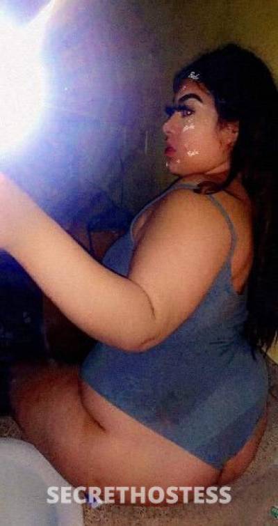 23Yrs Old Escort San Jose CA Image - 2