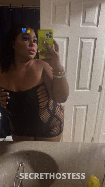 24Yrs Old Escort San Diego CA Image - 2