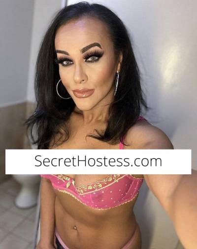 25 Year Old Black Hair Escort in Doncaster - Image 5