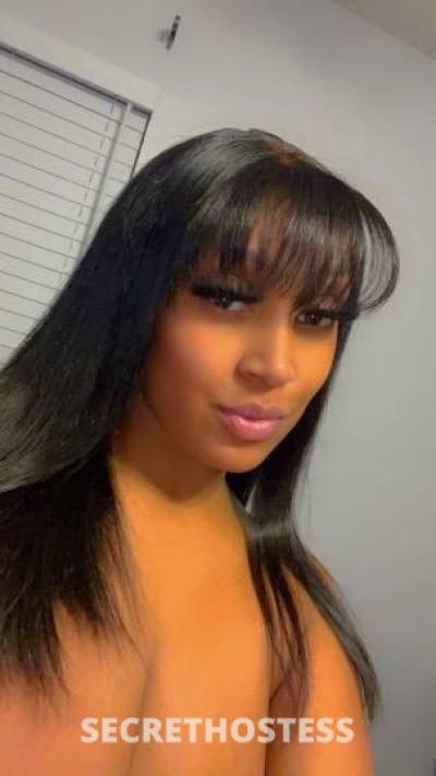 Alexis 22Yrs Old Escort Tampa FL Image - 1