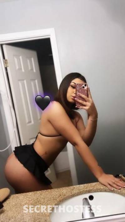 20 year old Escort in Killeen TX Sweet Sexy Girl. Incalls/Outcalls ONLY. Available 24/7 YES 