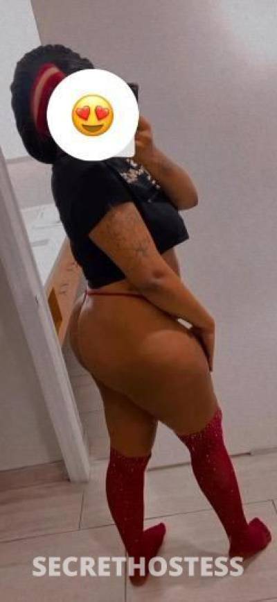 Bubbles 23Yrs Old Escort Tampa FL Image - 1