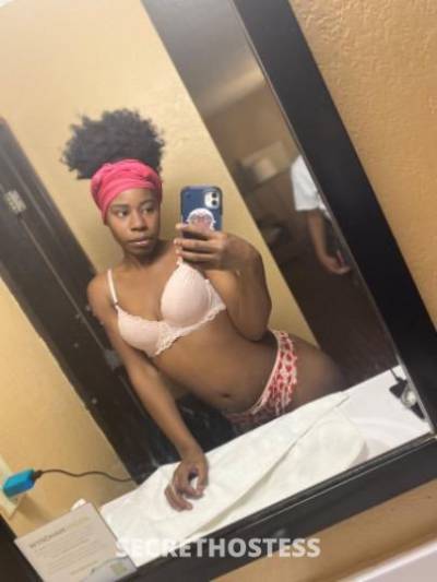 Dream 20Yrs Old Escort Minneapolis MN Image - 0