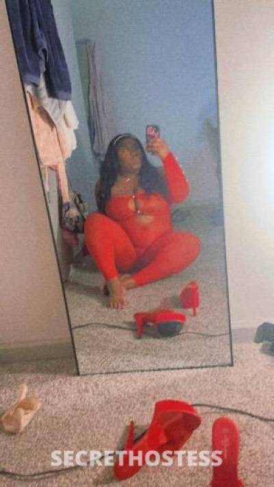 24 year old Escort in Knoxville TN incall QV special ( NO deposit ) this is where your wildest 