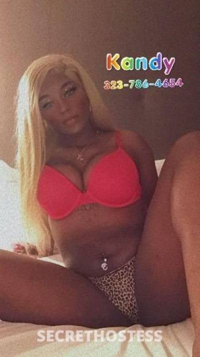 Kandy 28Yrs Old Escort North Jersey NJ Image - 0