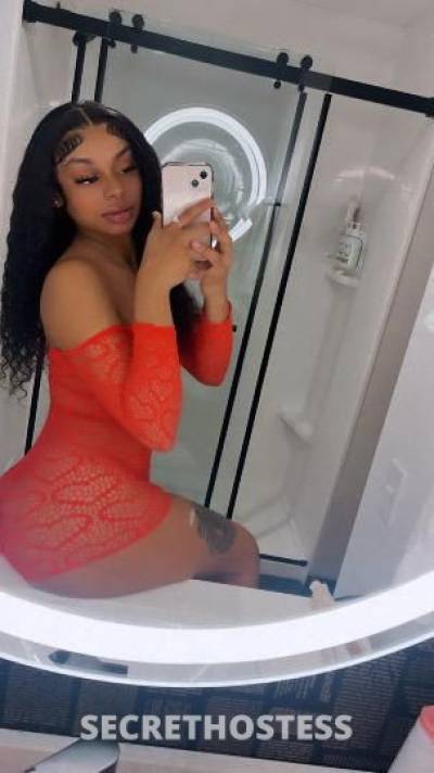 Mixbreed 21Yrs Old Escort Houston TX Image - 0