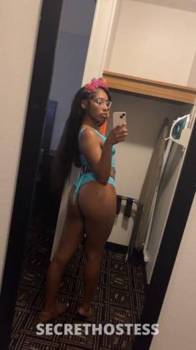 Slutty Brown Petite ... Ready To FUCK .. Incall // Outcall  in Minneapolis MN