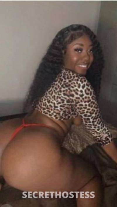 27Yrs Old Escort Houston TX Image - 1