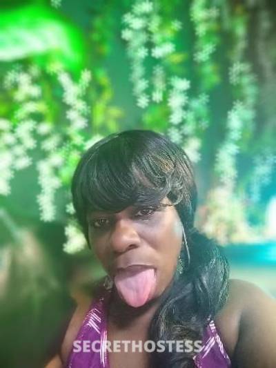 48Yrs Old Escort Nashville TN Image - 1