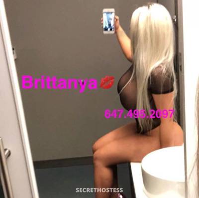 Brittanya 26Yrs Old Escort Barrie Image - 1