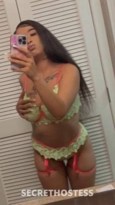22 year old American Escort in Longview TX Lets Have Fun