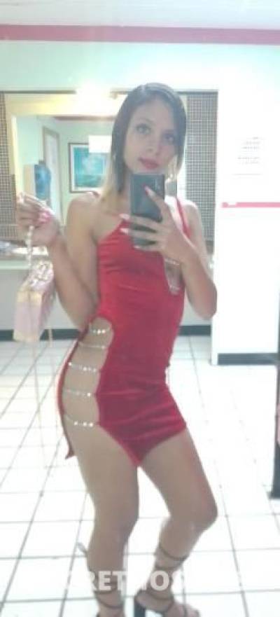 Yude 21Yrs Old Escort Dallas TX Image - 2