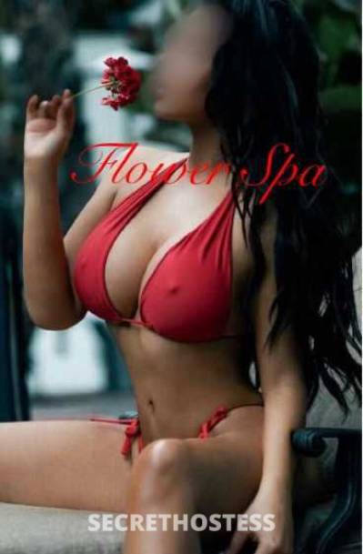 35Yrs Old Escort Honolulu HI Image - 1