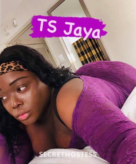 TRANS BIG BOOTY JAMACIAN JAYA. Escorts Bronx NY USA