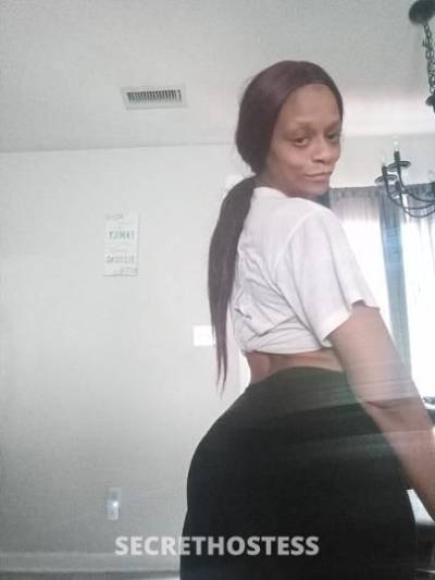 Asia 37Yrs Old Escort Raleigh-Durham NC Image - 2