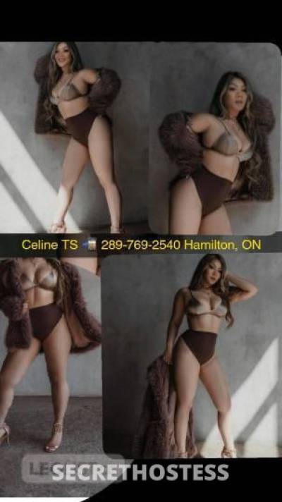 Celine 29Yrs Old Escort Hamilton Image - 1