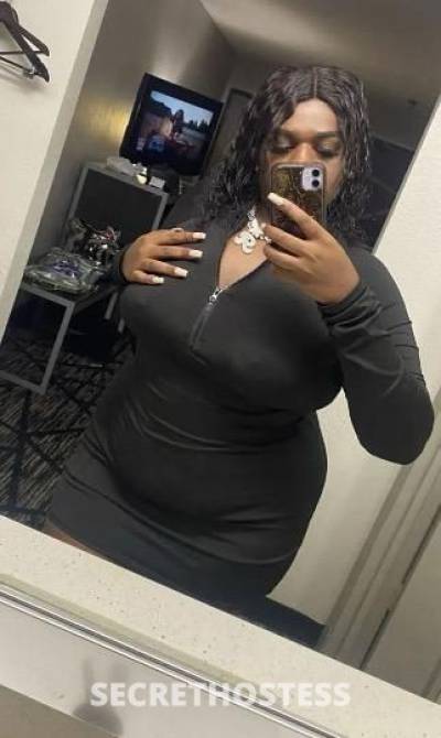 CoCo 27Yrs Old Escort Galveston TX Image - 1