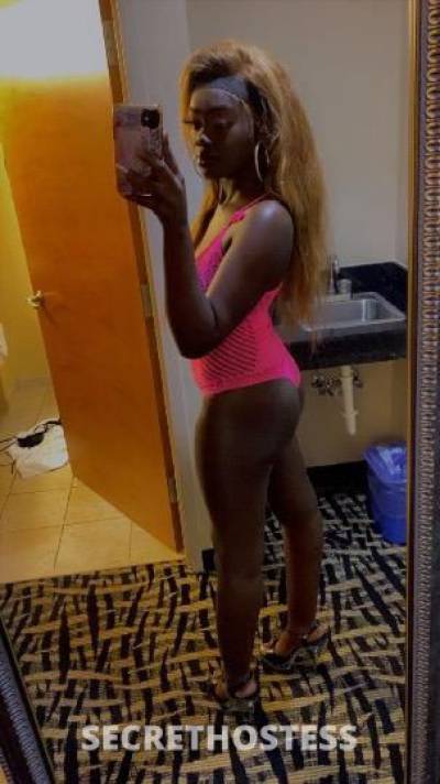 Hazel 21Yrs Old Escort Treasure Coast FL Image - 2