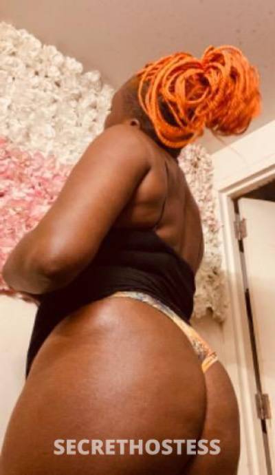 JackieO 25Yrs Old Escort Bronx NY Image - 2