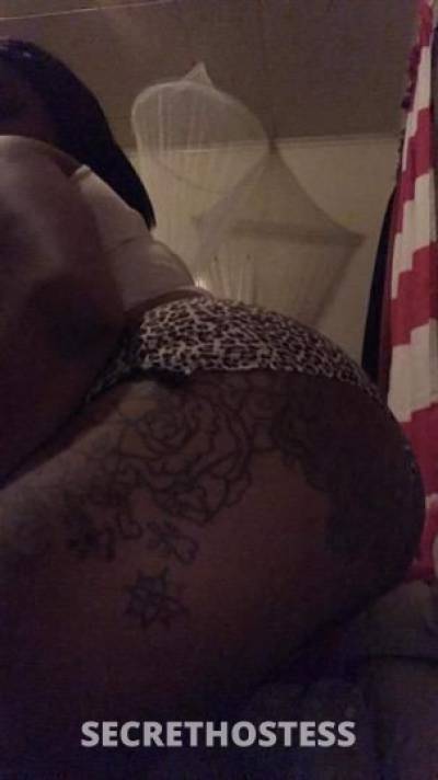 Kandy 23Yrs Old Escort Rochester NY Image - 1