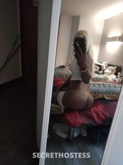 Kandy 27Yrs Old Escort Dallas TX Image - 0