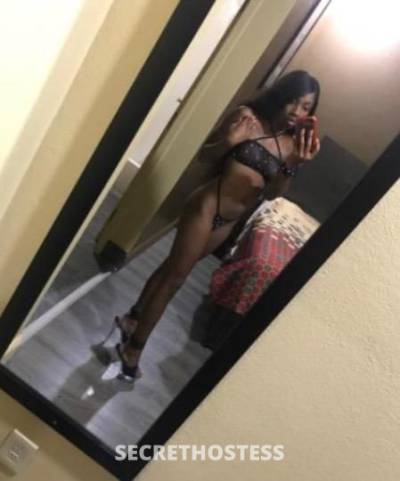 Leah 21Yrs Old Escort Chicago IL Image - 1
