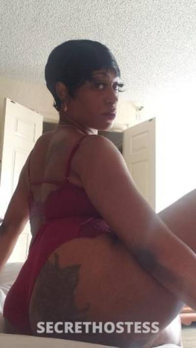 Ms.GAP 28Yrs Old Escort Baton Rouge LA Image - 0