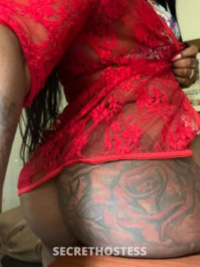 Nikki 24Yrs Old Escort Toledo OH Image - 0