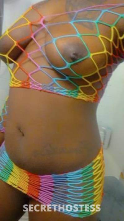 Paradise 31Yrs Old Escort Saint Louis MO Image - 0