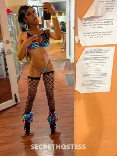 Pocahontas 22Yrs Old Escort Huntsville AL Image - 1