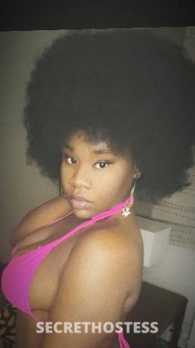 Serenity 21Yrs Old Escort Washington DC Image - 1