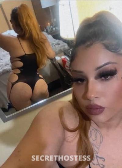 Vanessa 24Yrs Old Escort Oakland CA Image - 1