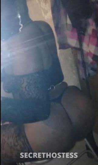 25Yrs Old Escort Fort Lauderdale FL Image - 0
