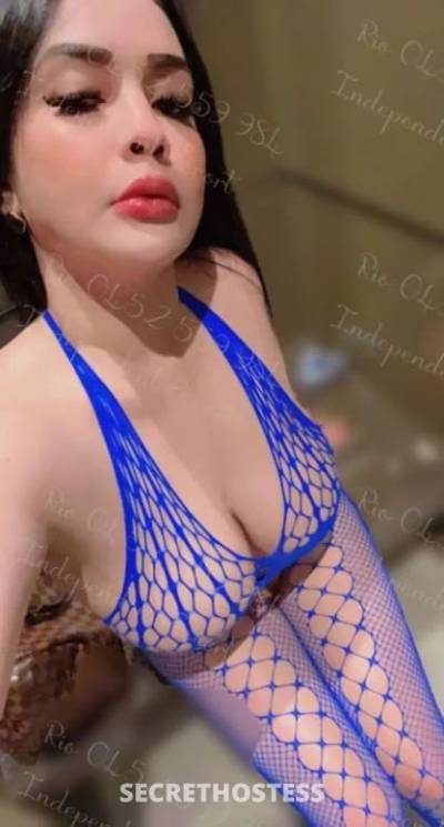 Your Best playmate Rio new in town passionate GFE in/out  in Orange