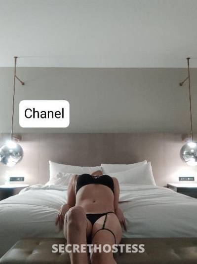 7 new ladies to choose come to have the best time in Toronto