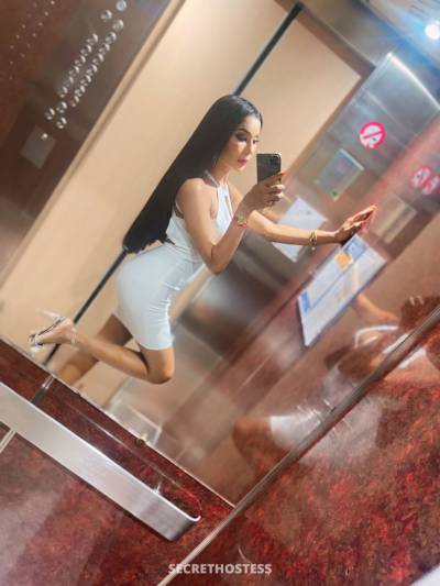 Bunny 23Yrs Old Escort 165CM Tall Phuket Image - 2