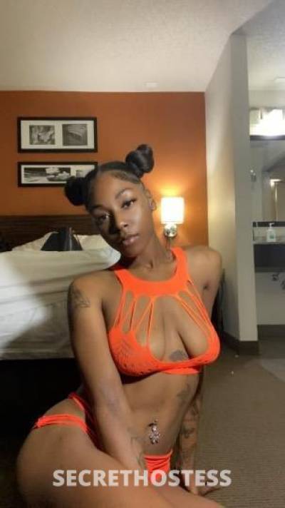 Kandii 22Yrs Old Escort Dallas TX Image - 0