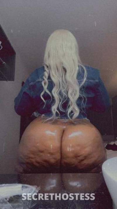 Kandii 25Yrs Old Escort Birmingham AL Image - 1