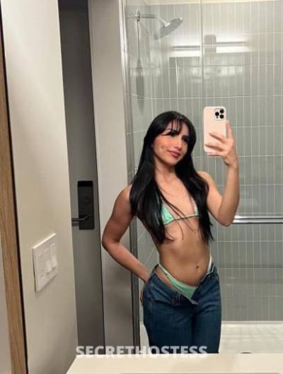 23 year old Escort in Dallas TX Room and Incall To Apartments, Hotels And Homes