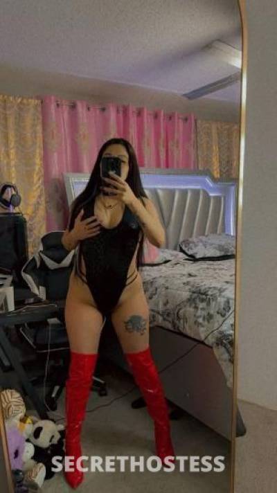 Luna 25Yrs Old Escort Dallas TX Image - 2