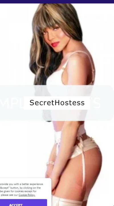 TV Arielle 32Yrs Old Escort Dublin Image - 1