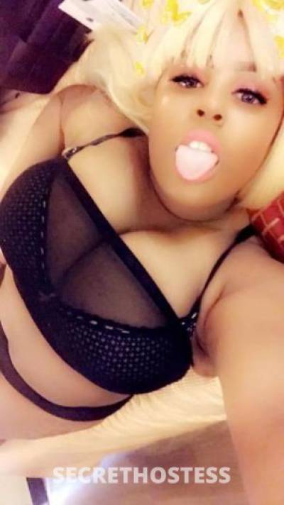 22Yrs Old Escort Chicago IL Image - 2