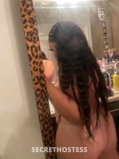 22Yrs Old Escort Corpus Christi TX Image - 1