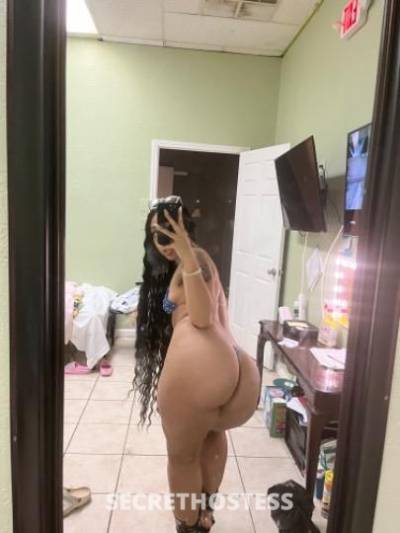 22 Year Old Latino Escort Tampa FL - Image 2