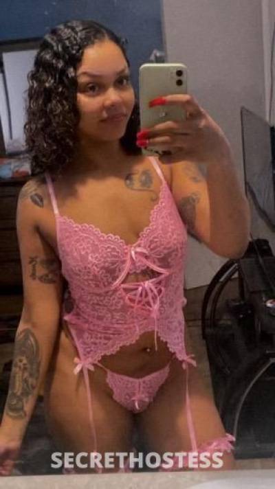 24 year old German Escort in Miami FL German Mexican and Black Stallion Who wants to come to my 