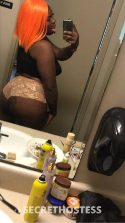 ARII BABY HAITIAN ZOE with pretty pink pussy and a fat clit  in Tampa FL
