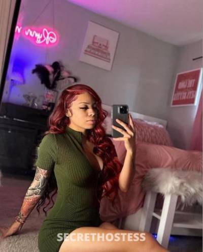 24 year old Latino Escort in Charlotte NC Sexy chica latina